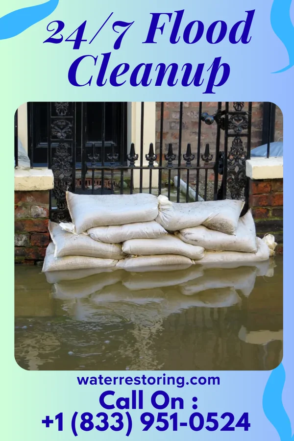 24/7 Flood Cleanup in South Vacherie, LA